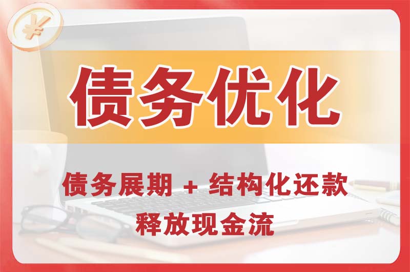 蒲县债务优化