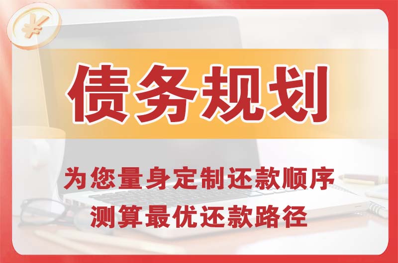 蒲县债务规划